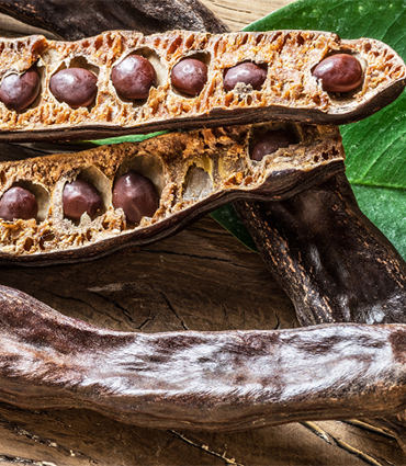 Locust Bean Gum